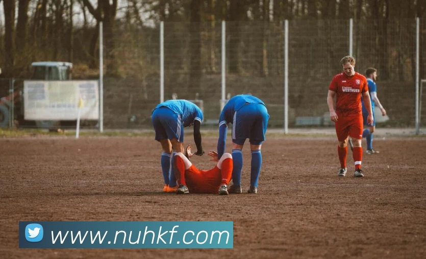 App Interface Preview