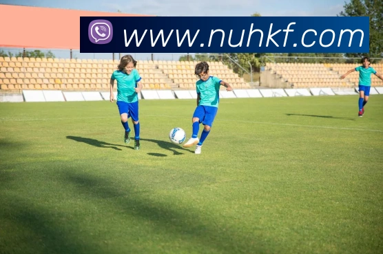 凯发天生赢家一触即发APP 封面图